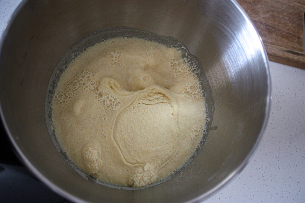 pasta dough