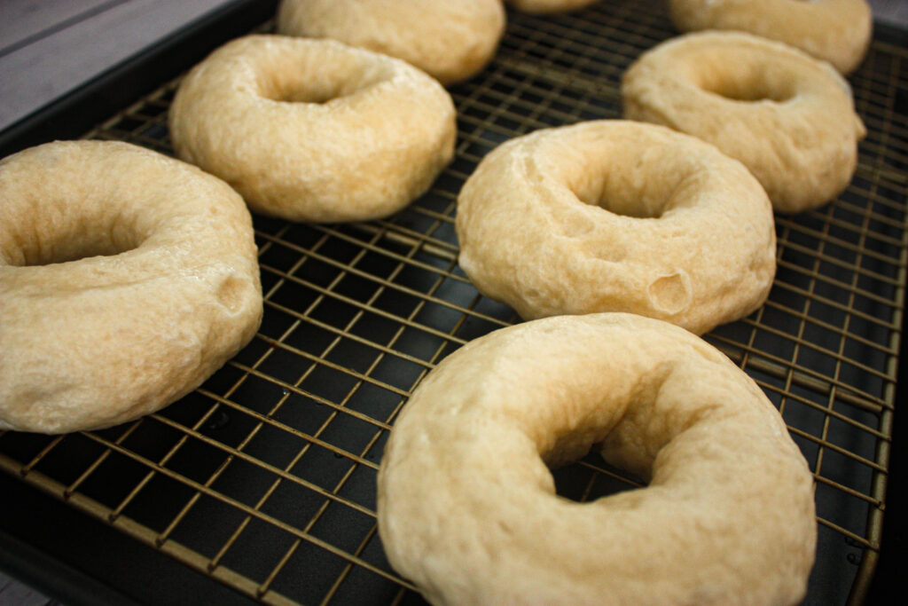boiled delicious dairy-free bagels
